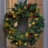 Pre-lit Berry & Cone Wreath